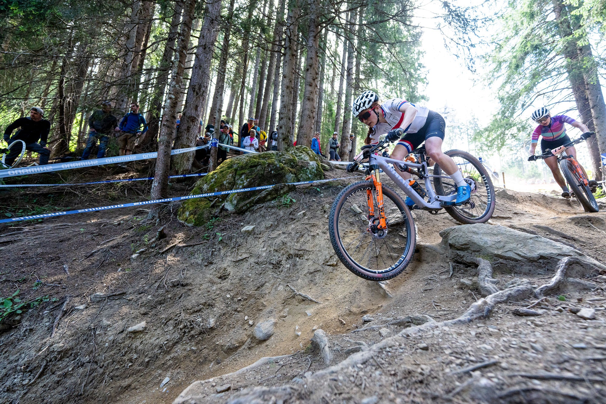 HUNT Proven Carbon Race XC MTB 29 Wheelset | Previous Model IC262 - Image 10