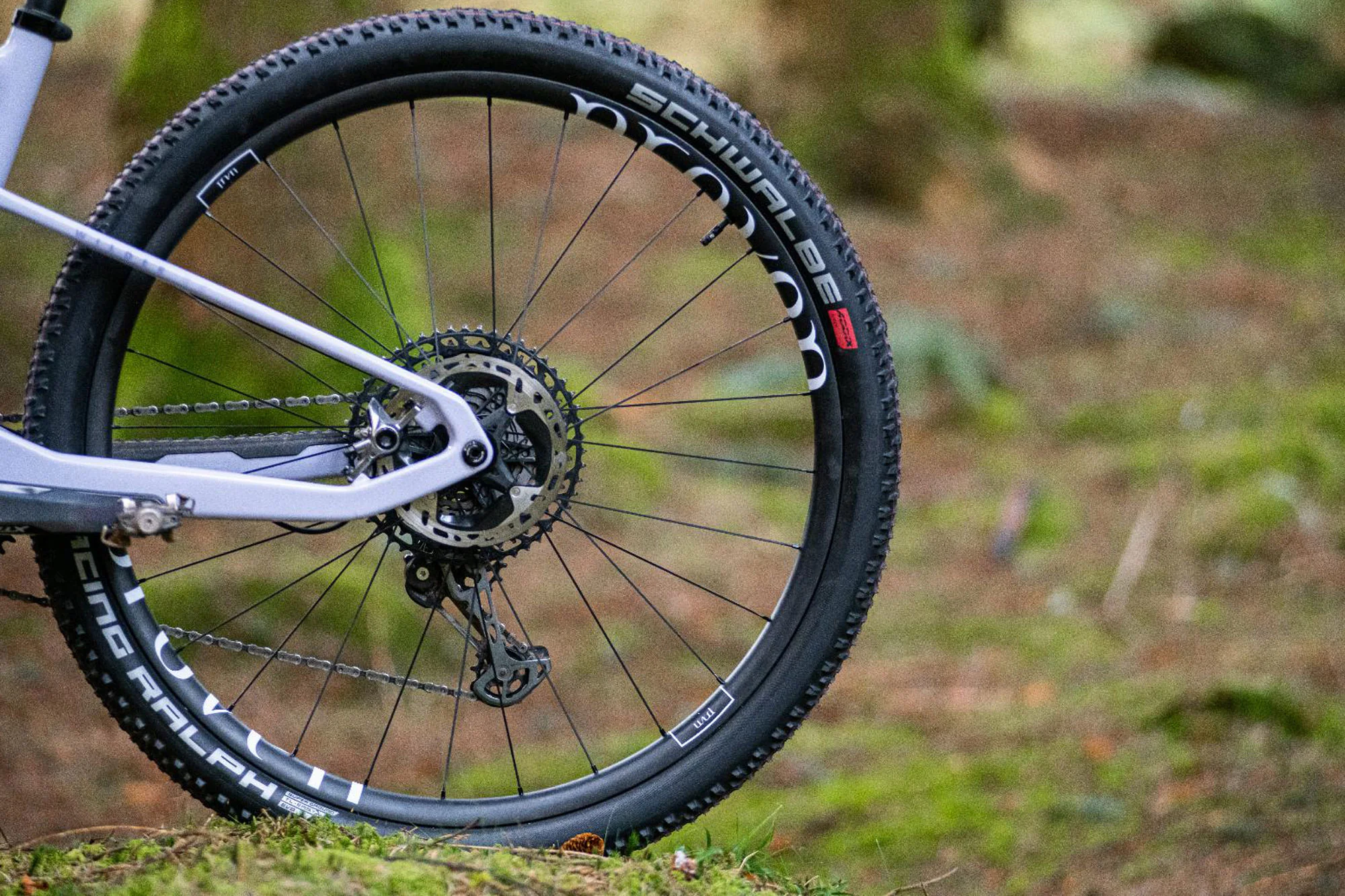HUNT Proven Carbon Race XC MTB 29 Wheelset | Previous Model IC262 - Image 9